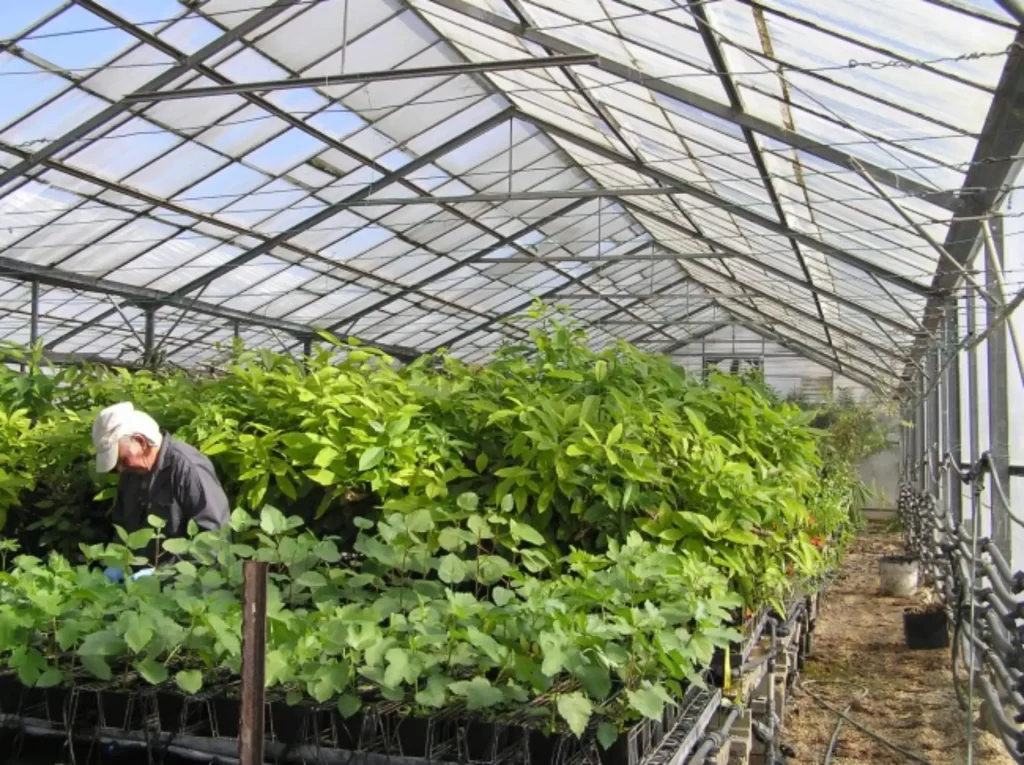 Trellidor Israel and Damti Brothers greenhouse plant acquisition announcement