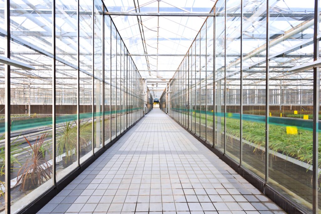Corridor of a modern agricultural greenhouse